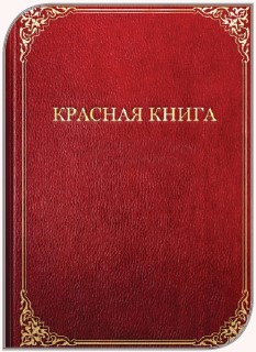 Красная книга ВЧК (в подарочном футляре)