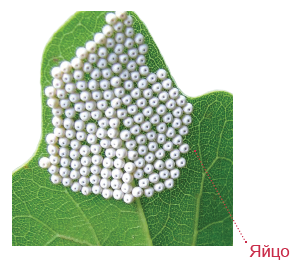 Yetuk sargish pornoni seducing Yuzsiz sexy surat