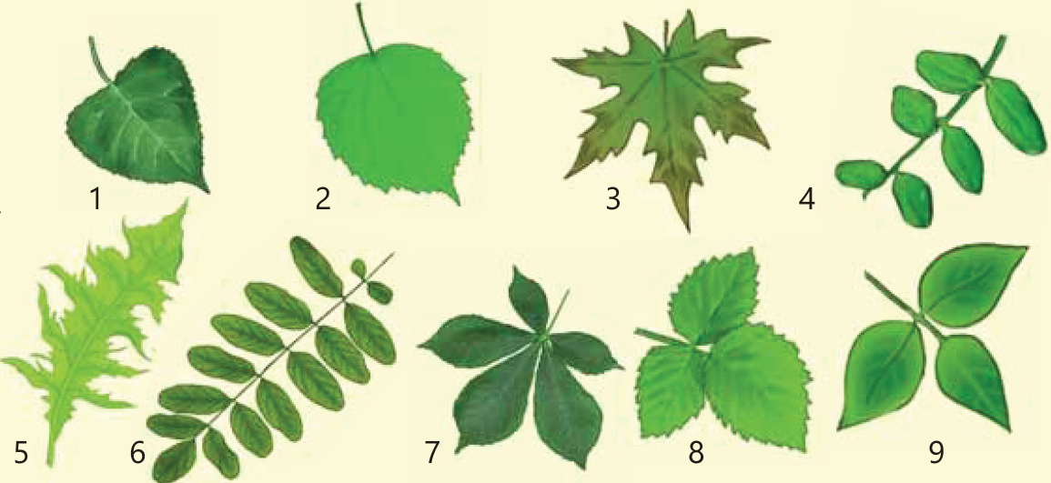 Brazzersdan barcha fotosuratlar