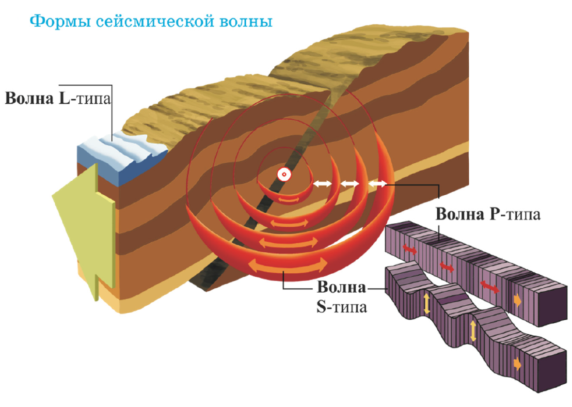 Как называются волны землетрясения