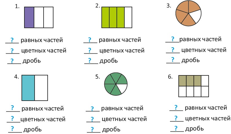 Где Закрашены Равные Части Выбери Две Картинки