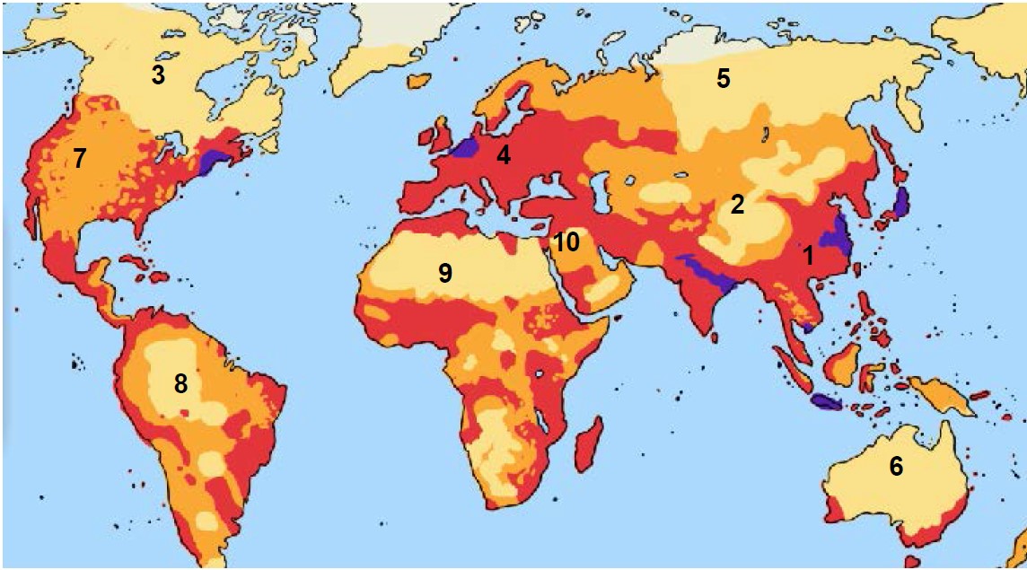 Какие территории заселены наиболее плотно. Карта плотности населения земли.