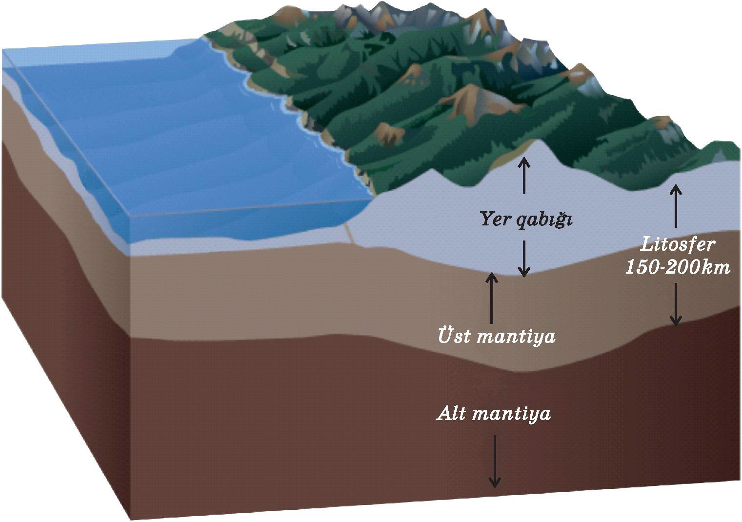 Внутренние континентальные воды. Строение земной коры. Океаническая литосфера. Строение материковой земной коры. Осадочный слой земной коры.