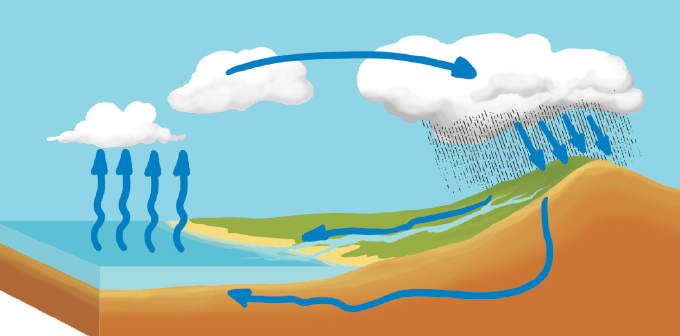 Вода из реки попадает. Круговорот испарения воды. Всемирный круговорот воды. Круговорот воды в природе большой круговорот. Схема мирового круговорота воды.