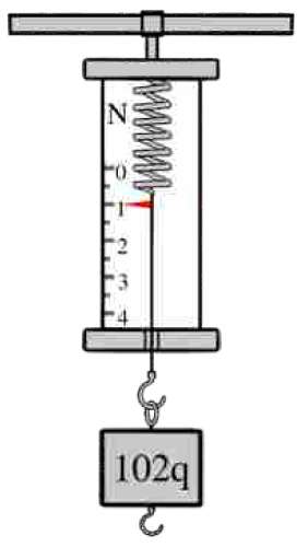 100г в ньютонах динамометр. Динамометр с грузиком физика 7 класс. Динамометр с грузом. Динамометр с пружиной.
