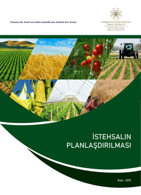 İstehsalın planlaşdırılması