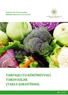 Yarpaqlı və kökümeyvəli tərəvəzlər (tarla şəraitində)