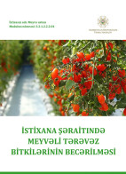 İstixana şəraitində meyvəli tərəvəz bitkilərinin becərilməsi