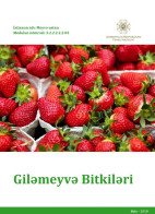 Giləmeyvə bitkiləri