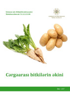 Cərgəarası bitkilərin əkini