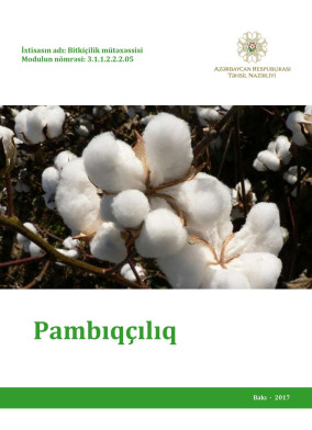 Pambiqchiliq
