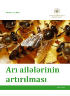 Arı ailələrinin artırılması