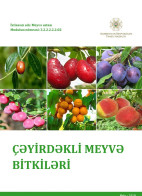 Çəyirdəkli meyvə bitkiləri