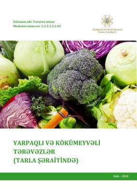 Yarpaqlı və kökümeyvəli tərəvəzlər
