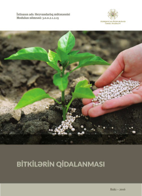 Bitkilərin qidalanması