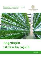 Bağçılıqda istehsalın təşkili