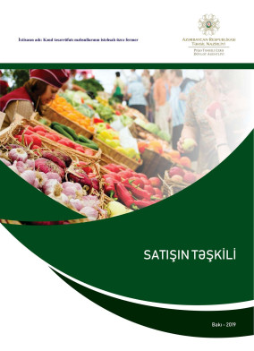 Satışın təşkili
